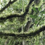 Photo taken by Miranda M