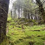 Photo taken by Grace S