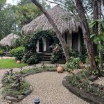 Photo taken by Cynthia C