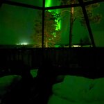 Photo taken by Nikki S