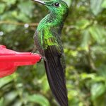 Photo taken by Cindy R