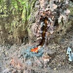 Photo taken by Heather L