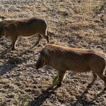 Photo taken by Tom B