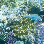 Photo taken by Maryann S