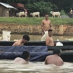 Photo taken by Cynthia C