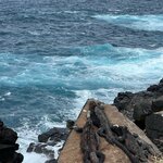 Photo taken by Maggie K