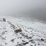 On the way to Pikey Peak | Photo taken by Narelle B