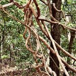 Photo taken by Ben B