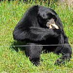 Photo taken by Laura R