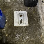 Photo taken by Willow K