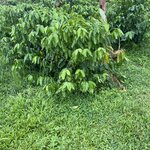 Photo taken by Alexia M