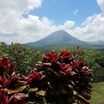 Monteverde  | Photo taken by Federica M