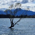 Photo taken by Scott L