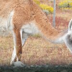 Photo taken by Raj M