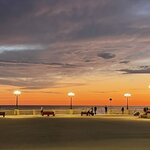 Photo taken by Cynthia W