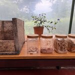 Photo taken by Dana F