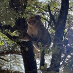 Photo taken by Della O