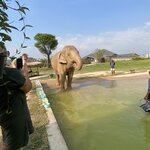 Photo taken by Shannon H