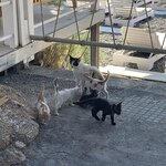 Photo taken by Jennifer L