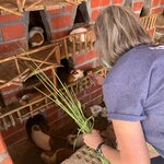 Photo taken by Barb M