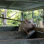 Photo taken by Rob C