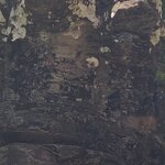 Photo taken by Ricky B