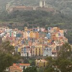 Photo taken by Shannon S