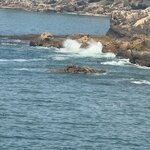 Photo taken by Lee G