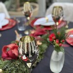 Photo taken by Diane C