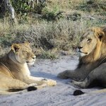 Photo taken by Kaye D