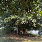 Photo taken by Meenakshi B