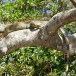 Photo taken by Kristen L