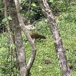 Photo taken by Alexia M