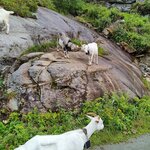 Photo taken by sybil p