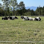 Photo taken by Ronda O