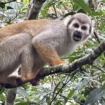 Photo taken by Randy H