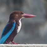 Photo taken by Graham D