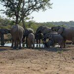 Photo taken by Sandro P