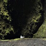 Photo taken by Pamela C