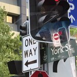 Photo taken by Linnaea M