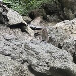 Photo taken by David W