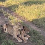 Photo taken by Crystall P