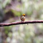 Photo taken by Jayme B