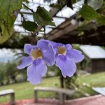 Photo taken by Lisa G