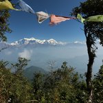 Photo taken by Peter S