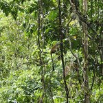 Photo taken by Touraj K