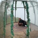 Photo taken by Dennis H