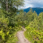 Photo taken by Samantha C