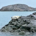 Photo taken by Donna T