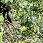 Photo taken by Brett F